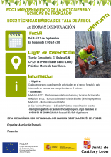 curso Motosierra